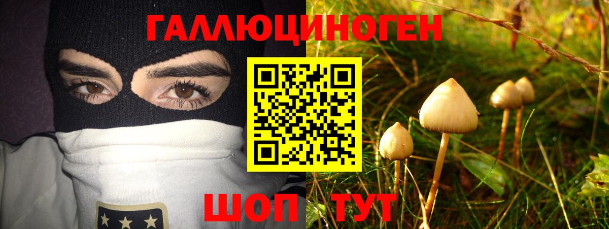 Казань  Псилоцибиновые грибы GOLDEN TEACHER  Вход с VPN 