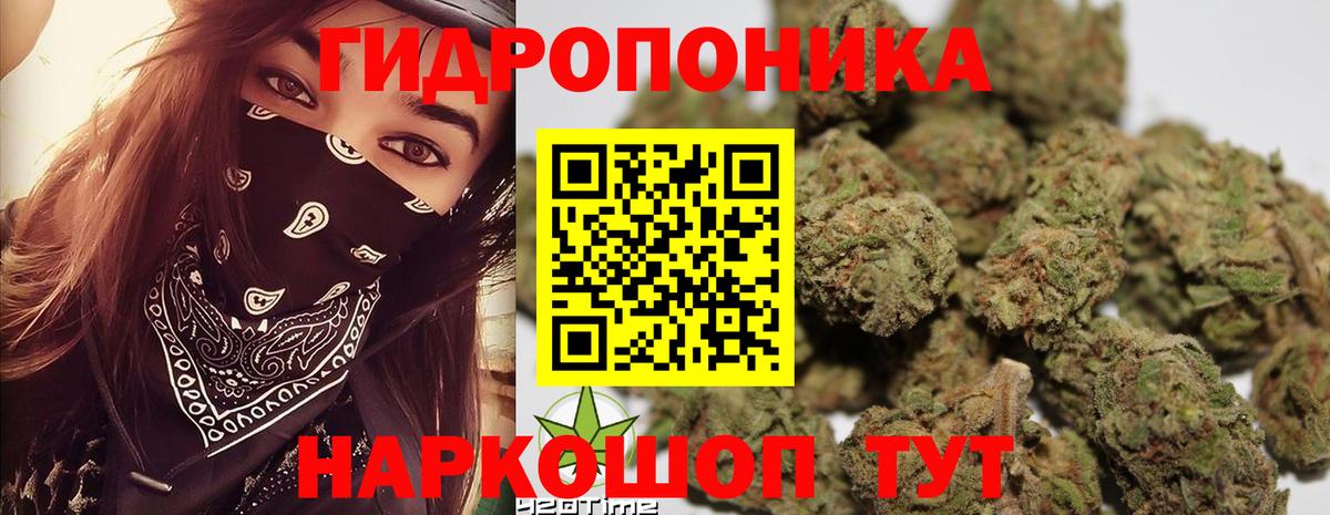 Канабис гибрид  МАРИХУАНА сатива  Конопля LSD WEED  Каннабис White Widow  Вход с VPN  Казань 